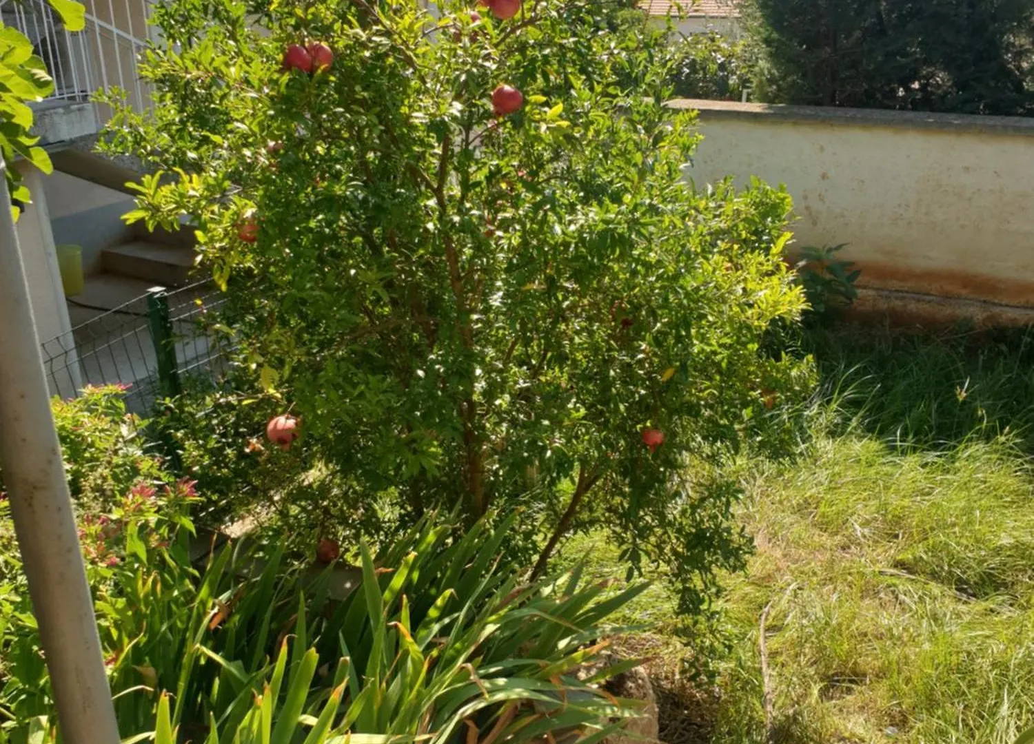 Mediterranean Chill And Grill Apartment Pula Croatia
